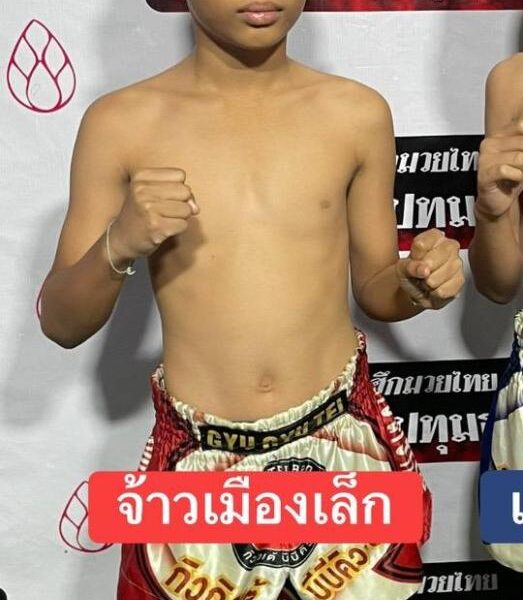 จ้าวเมืองเล็ก ขุนศึกรามัญ