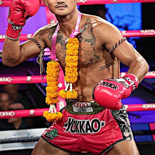 ชาตินำชัย อภิชาติมวยไทย