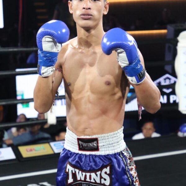 ชายใหญ่ ว.สุขสันต์