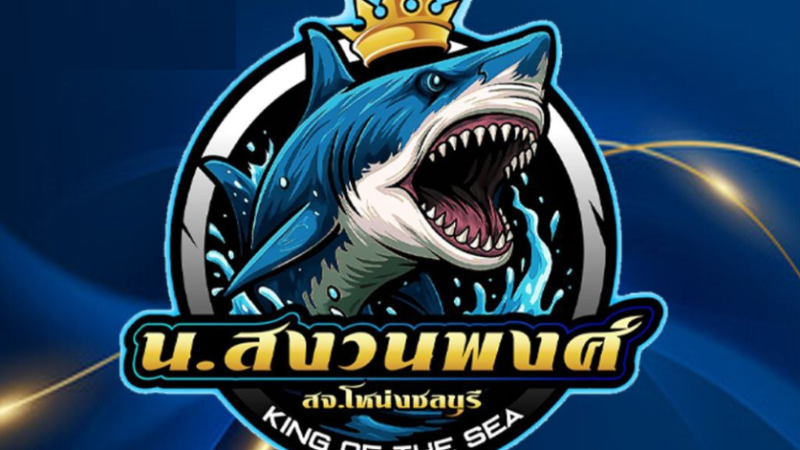 ศึกดาวรุ่ง น.สงวนพงศ์