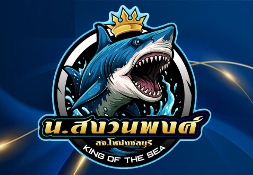 ศึกดาวรุ่ง น.สงวนพงศ์