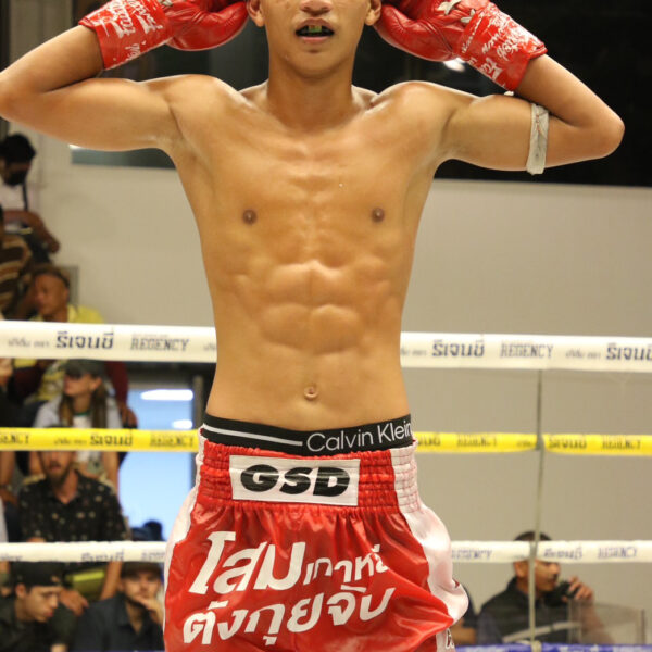 สองพยัคฆ์ เจ.พี.พาวเวอร์