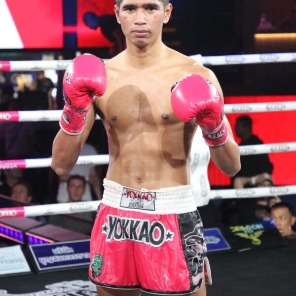 เทพสั่งปราบ แกวินมวยไทย