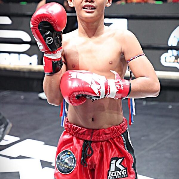 เพชรกาฟิวส์ หีมทางด่วน