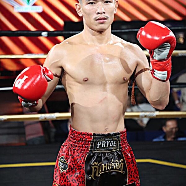 เหนือธรณี จิตรเมืองนนท์