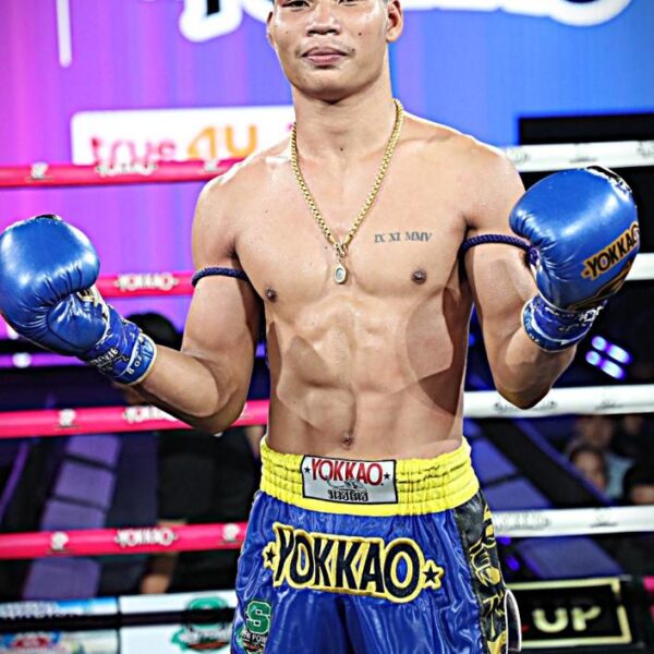 โตโต้ กรวยในเมืองยิมส์