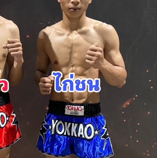 ไก่ชน ศ.ประวัติเมือง