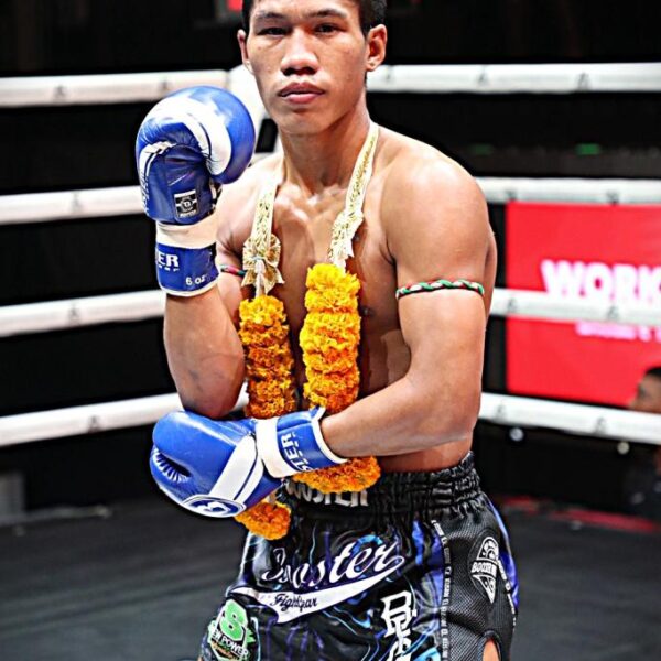 ดาวิด T1ไฟต์อะคาเดมี่