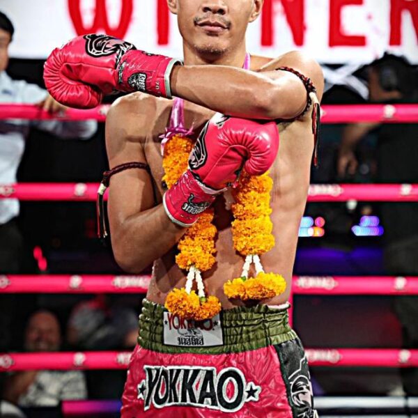 อัศวเทพ ศิษย์หมวดนิตย์