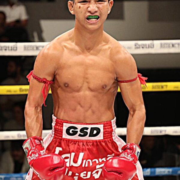 เป็ก กระเป๋าลิงกี้