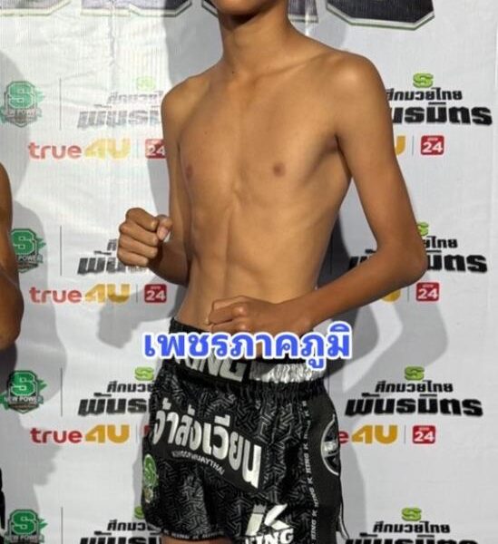 เพชรภาคภูมิ อัศวินมือถือ