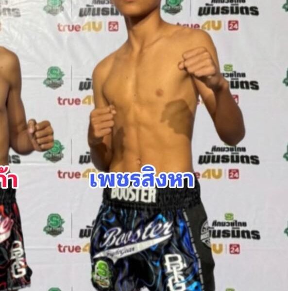 เพชรสิงหา ป.นิยมเดชา