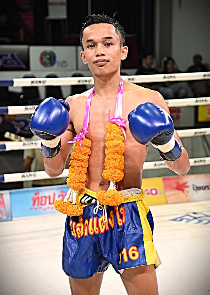 เลียงผา ดาวเด่นมวยไทย