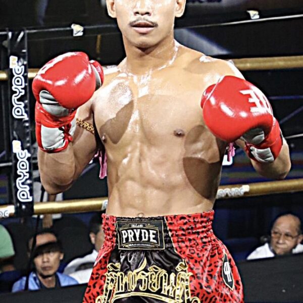 จิ๊กซอว์ แอ๊ดสันป่าตอง