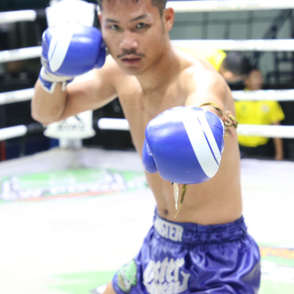 ปฏักเอก ก.คนเขียนข่าว