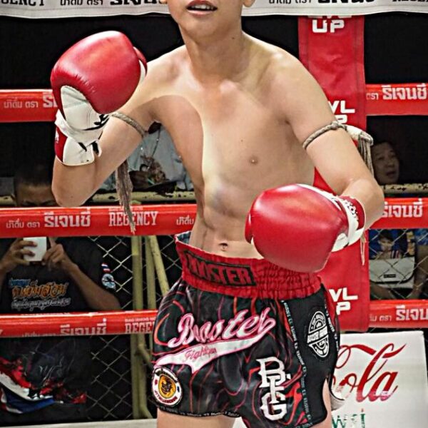 พยัคฆ์ พยัคฆ์ลำพอง