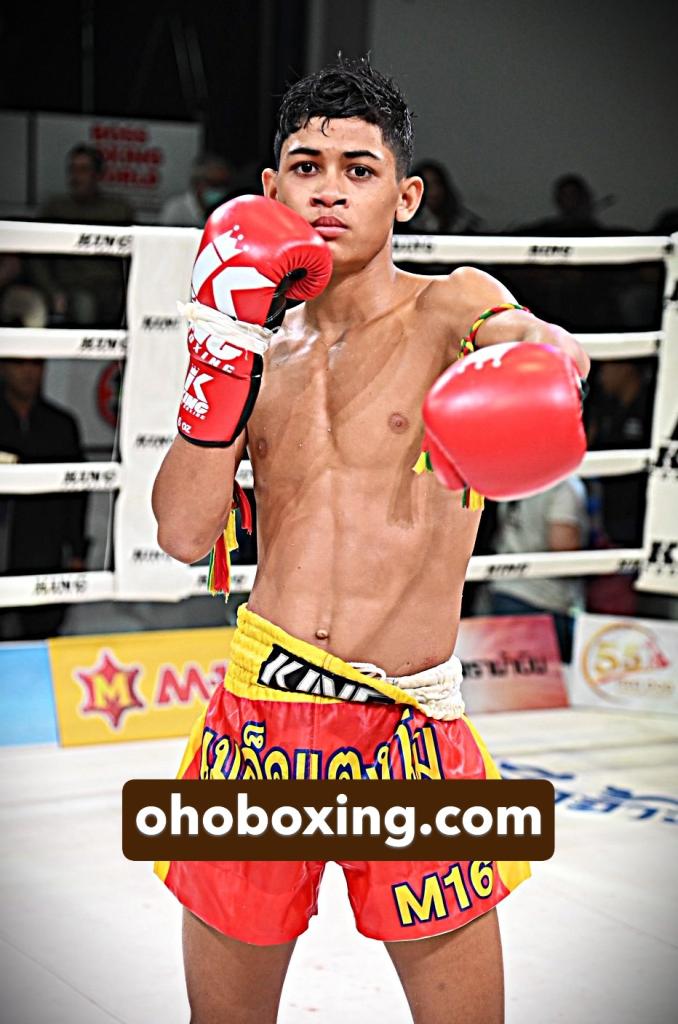 พยัคฆ์ทักษิณ ศ.ศศิวัฒน์