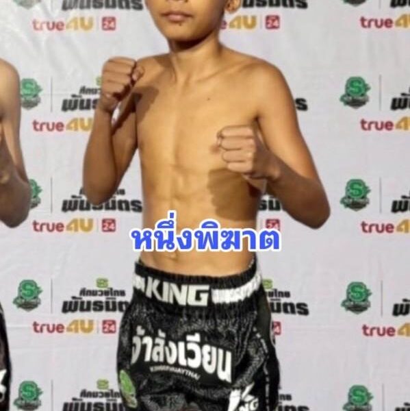 หนึ่งพิฆาต ศ.ศักดิ์ชาย