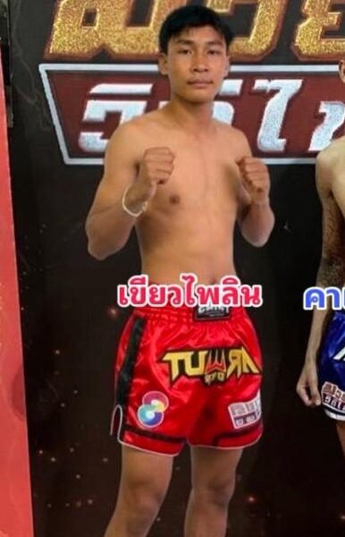 เขียวไพลิน JF.พุ่มพันธ์ม่วง