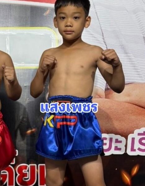 แสงเพชร ศ.เวียงเดช