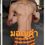 มอญดำ ซีเมนต์ดี