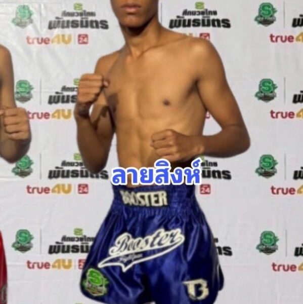 ลายสิงห์ พยัคฆ์เมืองงา