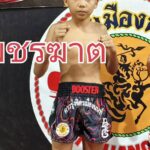 เพชรฆาต ศ.ประวัติเมือง