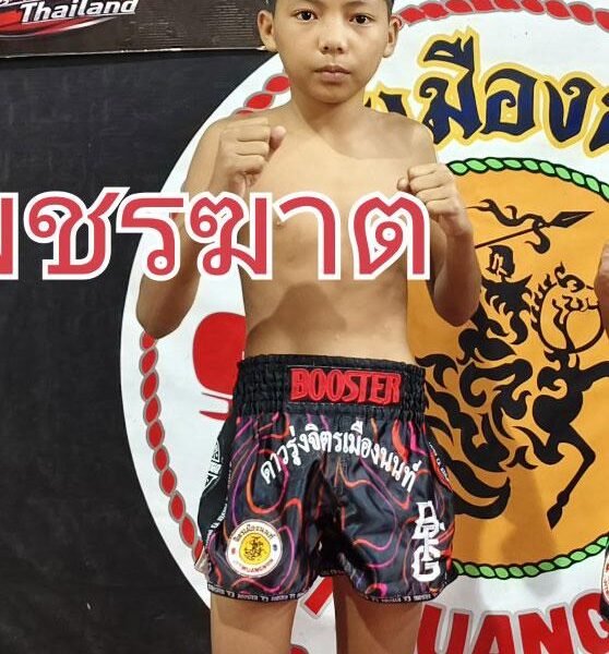 เพชรฆาต ศ.ประวัติเมือง