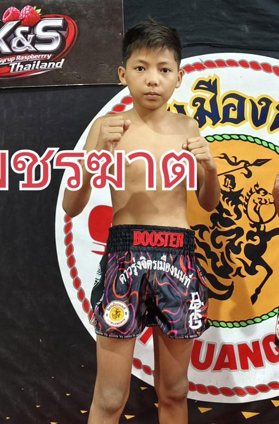 เพชรฆาต ศ.ประวัติเมือง