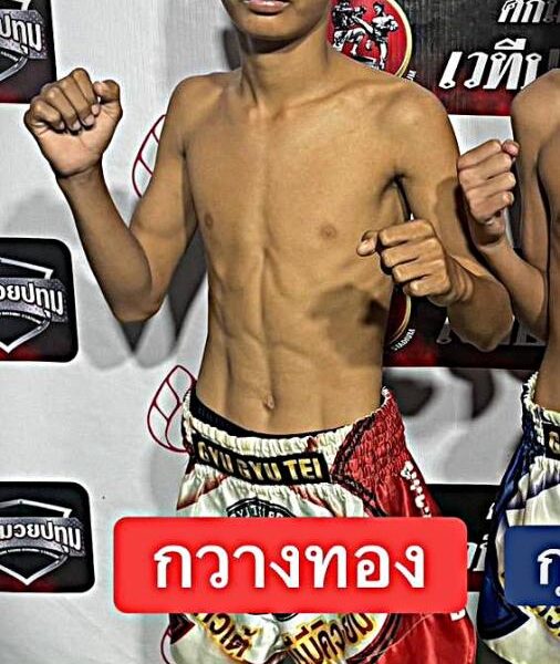 กวางทอง ศ.ทวีศักดิ์