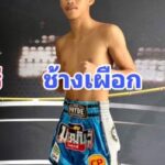 ช้างเผือก ว.อุรชา