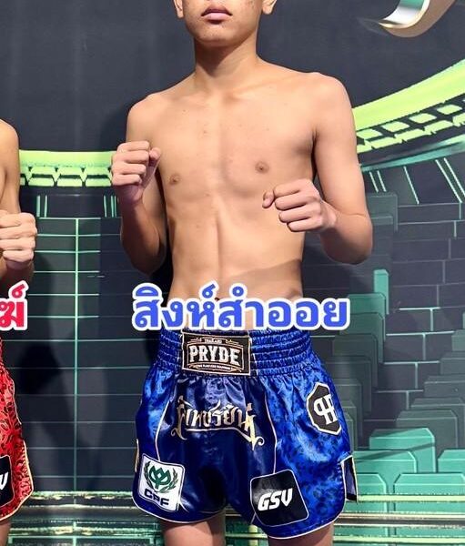 สิงห์สำออย ส.พนมสิงห์