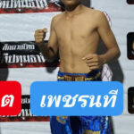 เพชรนที ส.สมานกาเมนท์