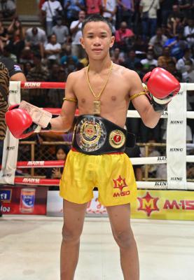 ไฟพยัคฆ์ ต.แย้มสวน